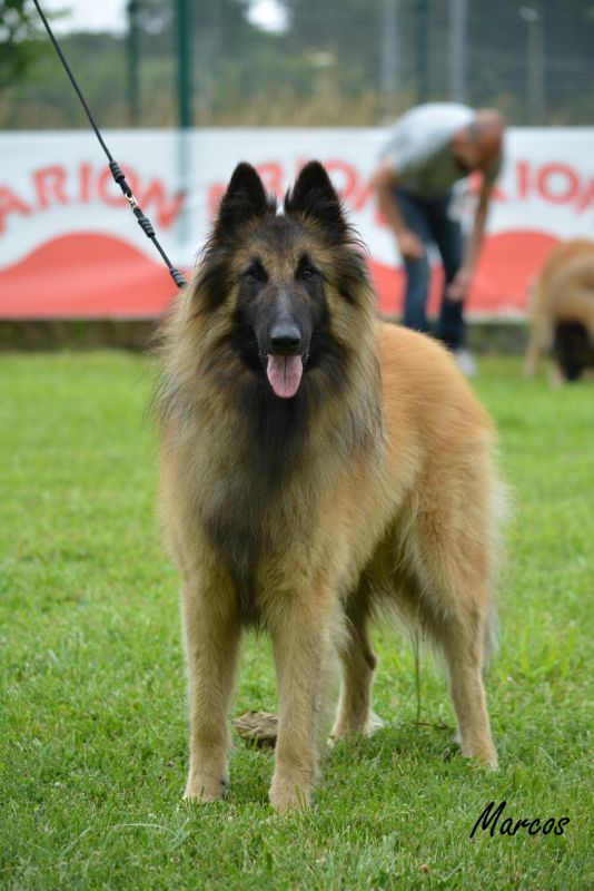 15-PROTOS DEL CLAM_U (1)